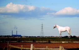 Un caballo gigante dará la bienvenida a quienes crucen el Canal de la Mancha 