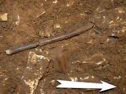 El hallazgo de una flauta de 35.000 años confirma que los primeros europeos ya disfrutaban de la música