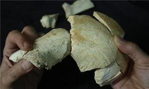 Hallan un nuevo cráneo humano de 500.000 años en Atapuerca