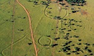 Descubren restos de una civilización desconocida en el Amazonas