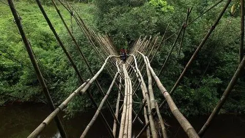 El puente de bambú