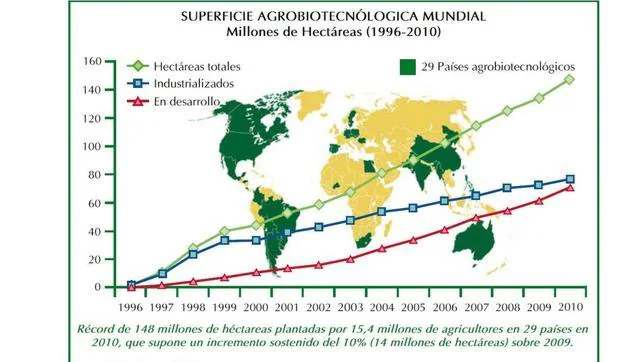 Arroz y trigo, dos de los alimentos bsicos en el mundo, se cultivarn con biotecnologa antes de 6 aos 