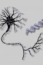 Crean un «cerebro artificial» a partir de ADN humano