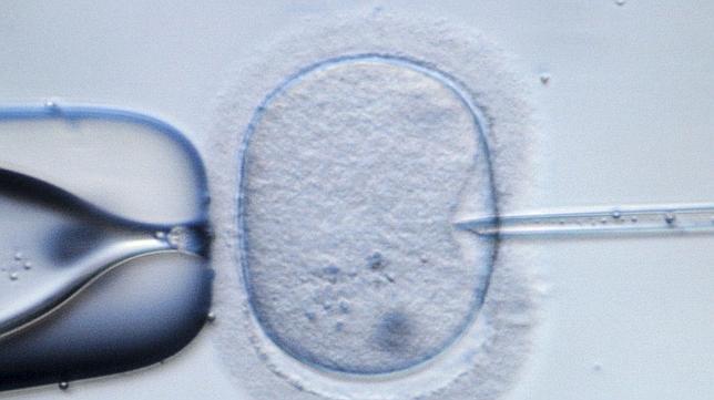 Nacen 150 niños de un mismo donante de esperma