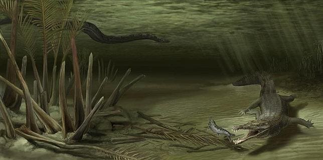 Lucha titánica entre un cocodrilo gigante y la serpiente más grande del mundo