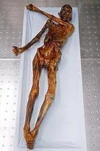 Ötzi, el «hombre de hielo» que sobrevivió a su destino