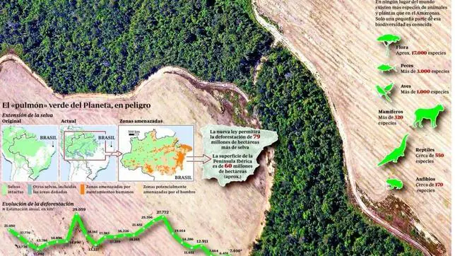 Brasil aprueba una ley que pone en riesgo 700.000 kilómetros de Amazonia