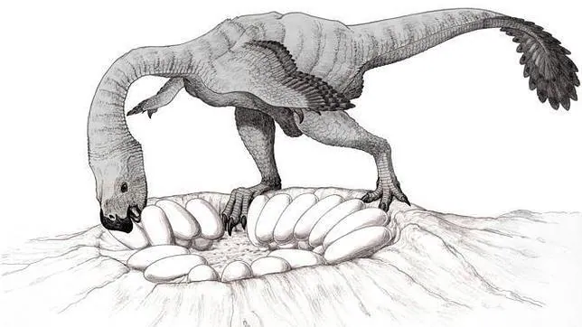 Descubren una «mamá» dinosaurio empollando sus huevos