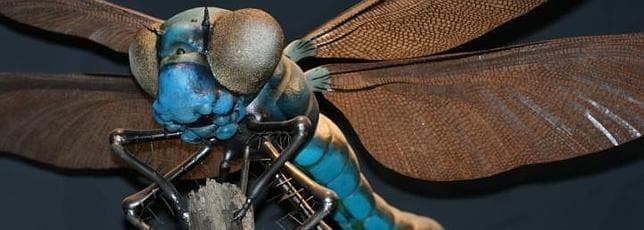 El reino de los insectos gigantes