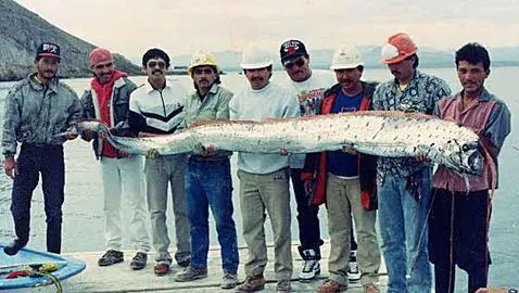 El pez más largo del mundo