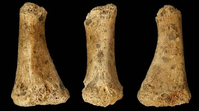Los últimos neandertales residieron en Cantabria y no en Gibraltar