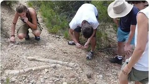 Dos vecinos descubren un nuevo yacimiento de dinosaurios en un pueblo del Pirineo de Lérida