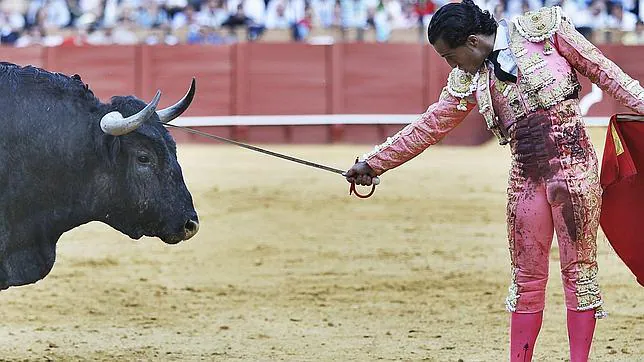 Iván Fandiño pide los seis toros tras la baja de Castaño en Valencia