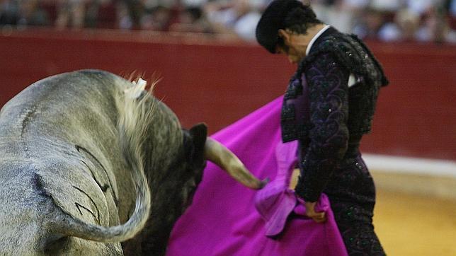 Paulita pincha un triunfo con un gran toro de Ana Romero en Zaragoza