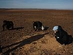 Los secretos del meteorito marciano que cayó en Marruecos