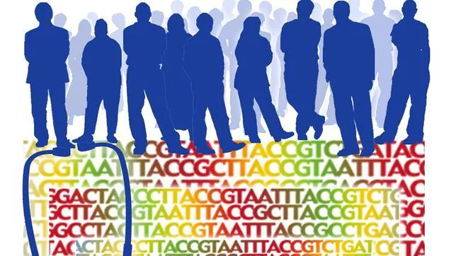 Primer mapa de la diversidad genética humana