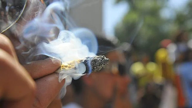 Así legalizará Uruguay la marihuana