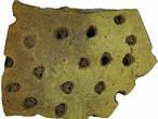 Los primeros quesos se hicieron hace 7.500 años en Europa
