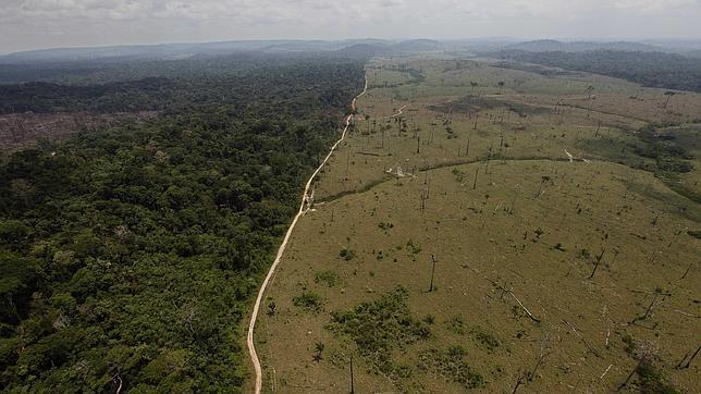 Resultado de imagen de fotos de deforestación en Amazonas