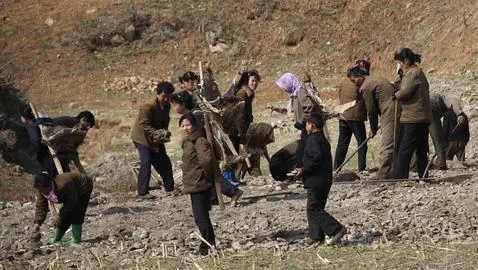 Una brigada de hombres, mujeres y niños acarrean piedras en el campo en la carretera a Kaesong