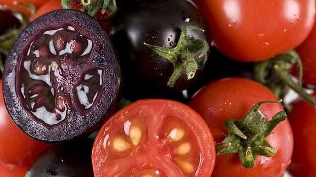 Crean un tomate púrpura «más sano y sabroso»