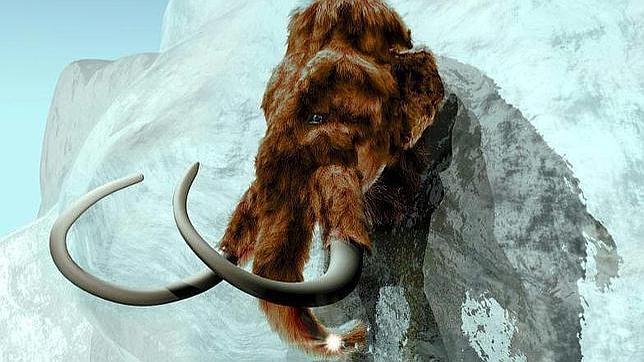 Hallan sangre en los restos de un mamut en el Ártico 