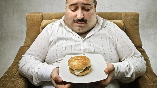 La obesidad está en el cerebro, no en el plato