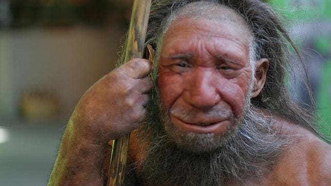 [Imagen: neanderthal--644x362.jpg]