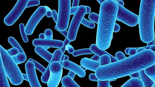 Descubren 200 microbios desconocidos que conviven con nosotros