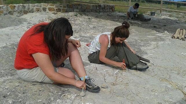 Localizan en Burgos huellas de dinosaurios que pueden ser «únicas»