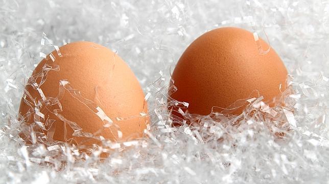 ¿Es bueno guardar los huevos en la nevera?