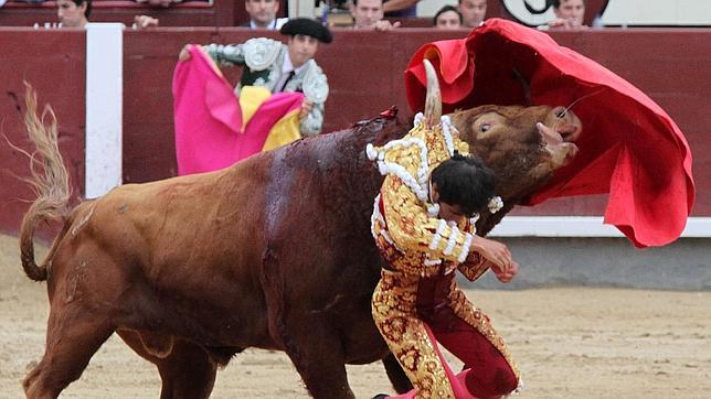 Joselito Adame cae lesionado por una brutal cogida en Las Ventas
