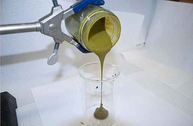 Convierten algas en petróleo crudo en solo 30 minutos.