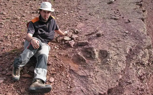 Identifican en La Rioja la huella de un nuevo dinosaurio bípedo de gran tamaño