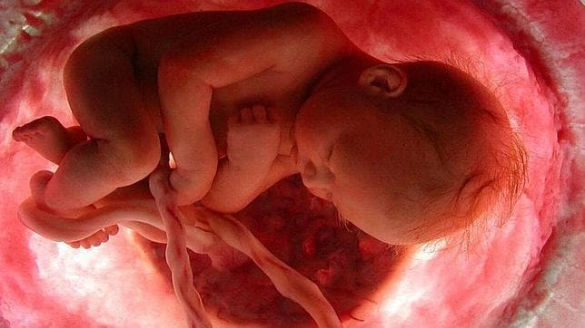 Arizona no podrá prohibir el aborto después de las 20 semanas de embarazo