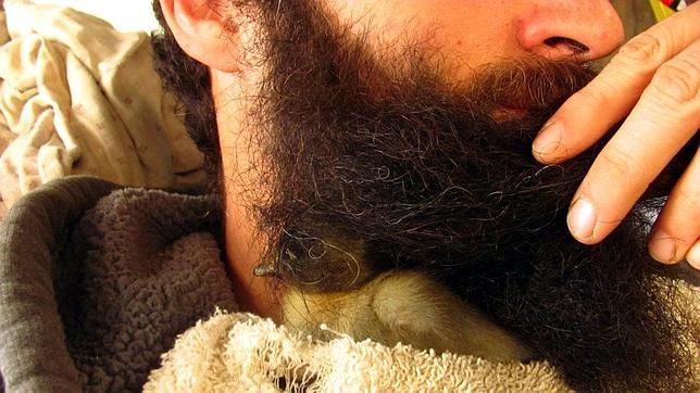 Un joven de EE.UU. cría a un pato debajo de su barba