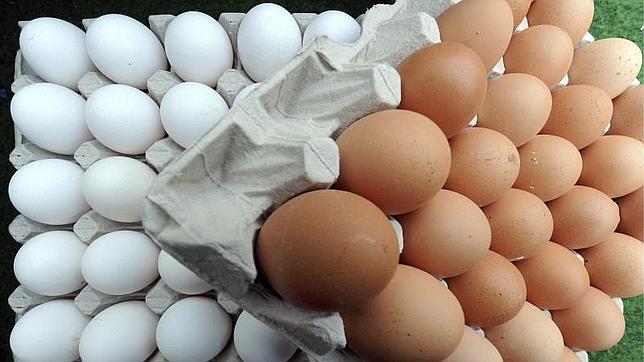 Si estás sano, puedes comer un huevo diario