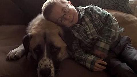 Un niño enfermo y su perro de tres patas, protagonistas de una historia de amistad que revoluciona la Red
