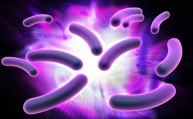 Descubren una bacteria que «come» electricidad