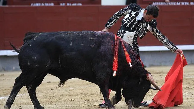 Juan Ortega, aires de torería en Las Ventas