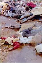 El genocidio de Ruanda: 800.000 muertos en cinco meses