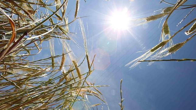 Agricultores y ganaderos alertan de que Castilla-La Mancha está a las puertas de una gran sequía