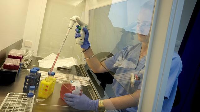 Sanidad activa en Valencia el protocolo de actuación ante un posible caso del Ébola