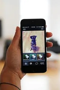 BarkCam, una «app» especial para fotografiar a las mascotas