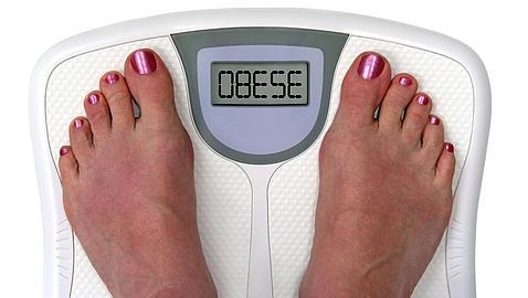 Distintas dietas, misma pérdida de peso  
