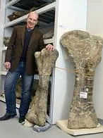Hallan al «gigante» de la Patagonia, el dinosaurio más pesado que un Boeing 737