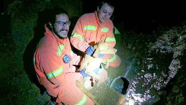 Los bomberos rescatan a un perro atrapado en una tubería subterránea en Casinos