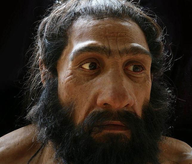 Los neandertales ya sufrían de enfermedades modernas como la psoriasis y el Crohn