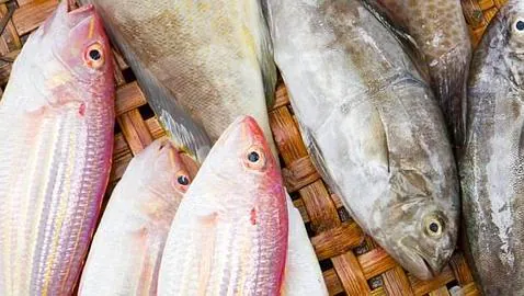 Asocian el mercurio de algunos pescados con riesgo de enfermedades autoinmunes