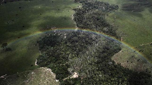 Colombia pide a Brasil y Venezuela crear el mayor corredor ecológico del mundo